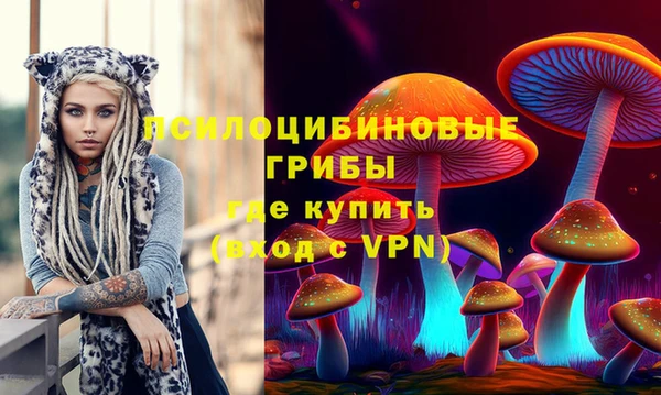 spice Богданович
