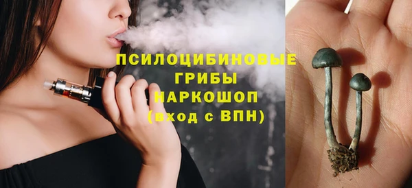 твердый Богородицк