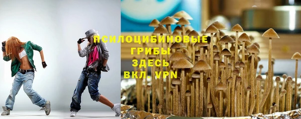 бошки Богородск