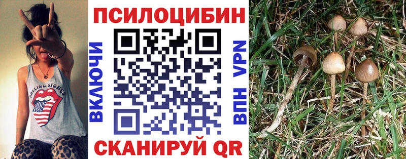Псилоцибиновые грибы ЛСД  Купить где  Жуковка 