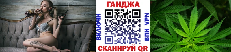 Купить где  Жуковка  Бошки марихуана сатива 